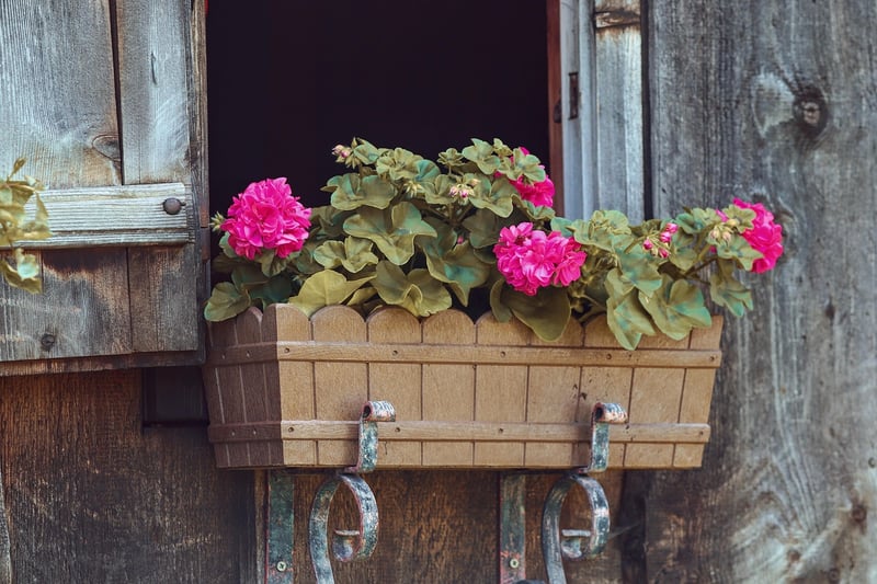 Vertical Gardens